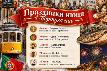 Новости